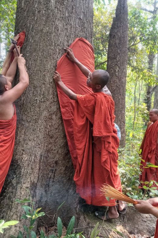 Darwin Initiative Project Design